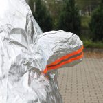 Εικόνα 4 από 6
