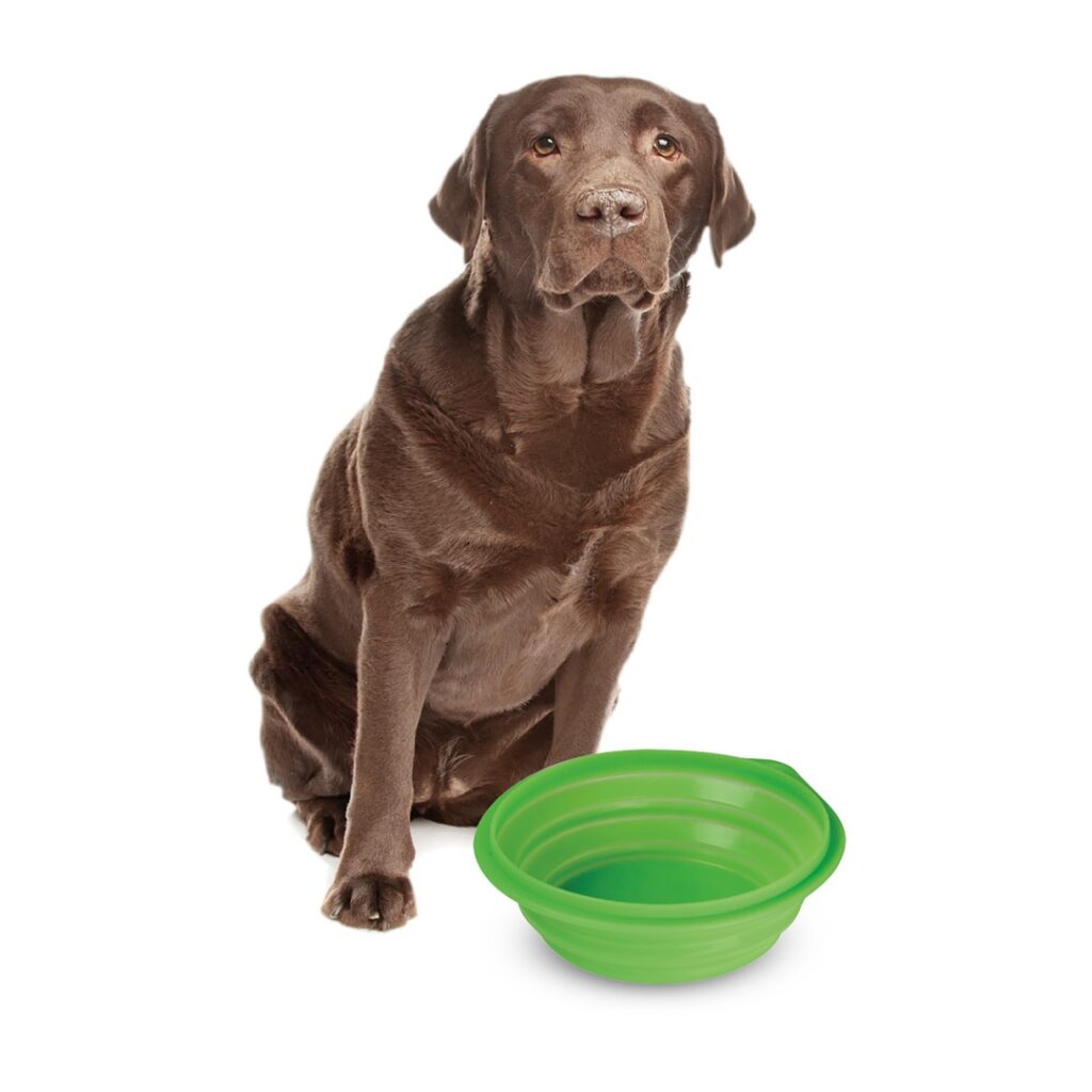 Εικόνα 4 από 5 — ΤΑΪΣΤΡΑ/ΜΠΟΛ ΤΑΞΙΔΙΟΥ PET TRAVEL BOWL 1000 ml ΓΙΑ ΣΚΥΛΟΥΣ/ΓΑΤΕΣ/ΚΑΤΟΙΚΙΔΙΑ ΖΩΑ (ΣΙΛΙΚΟΝΗ/ΔΙΑΦΟΡΑ ΧΡΩΜΑΤΑ)