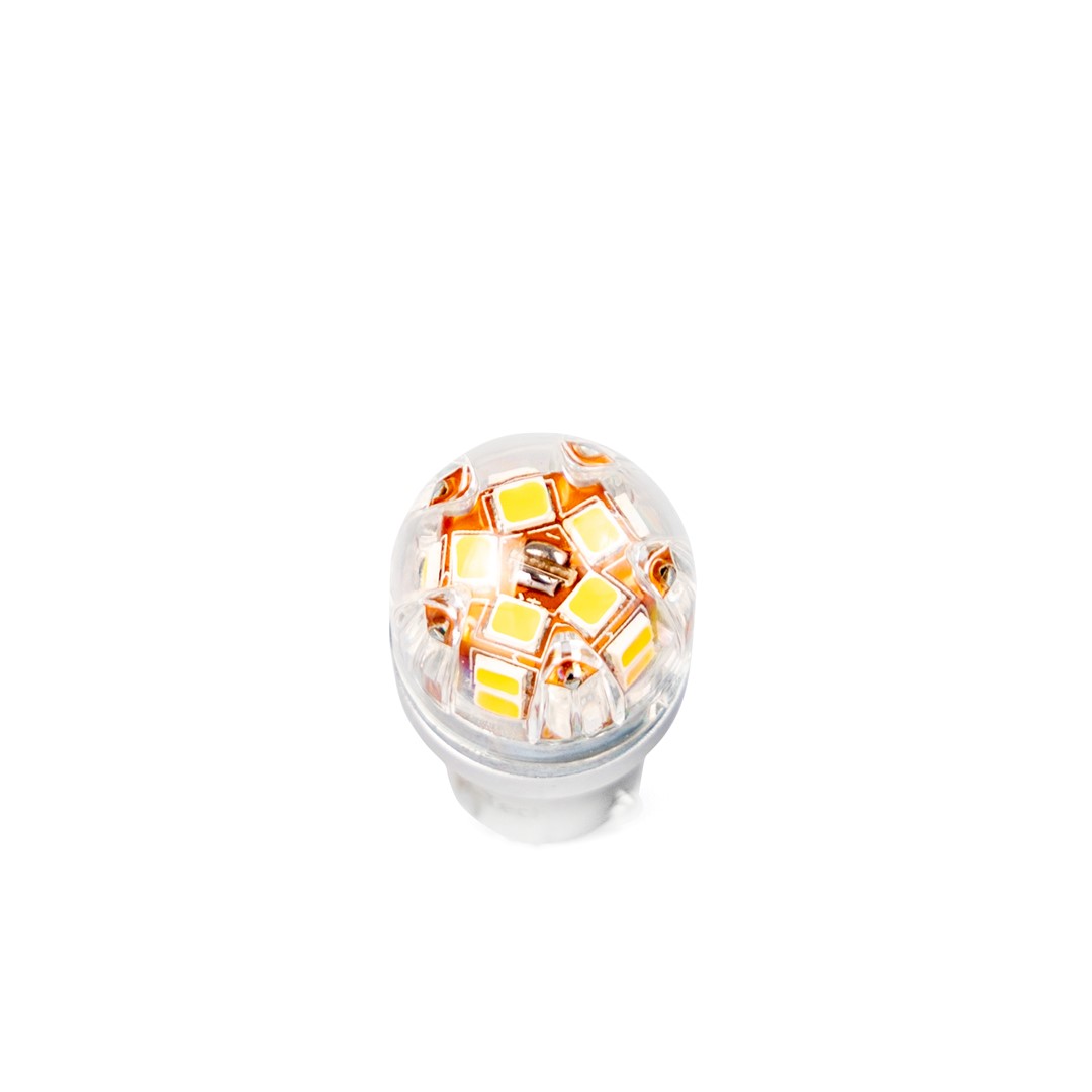 Εικόνα 3 από 3 — ΛΑΜΠΑΚΙ PY21W 12/24V 21W BAU15s 15x2835SMD 210lm ΜΟΝΟΠΟΛΙΚΟ ΠΑΡΑΚΕΝΤΡΟ CAN-BUS PLATINUM ΠΟΡΤΟΚΑΛΙ – 1 ΤΕΜ.