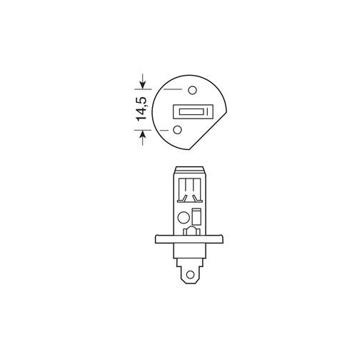 Εικόνα 3 από 4 — H1 12V 55W P14,5s