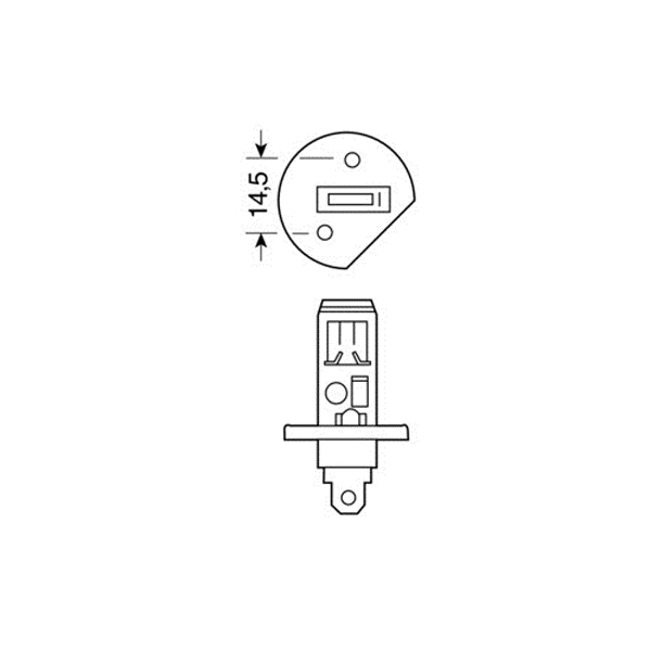 Εικόνα 3 από 4 — H1 ΑΛΟΓΟΝΟΥ 12V/55W 62.5mm P14,5s ΛΑΜΠΑ