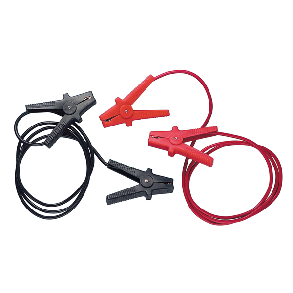 Εικόνα 2 από 2 — ΡΕΥΜΑΤΟΔΟΤΕΣ 100Α – 12/24V 250cm